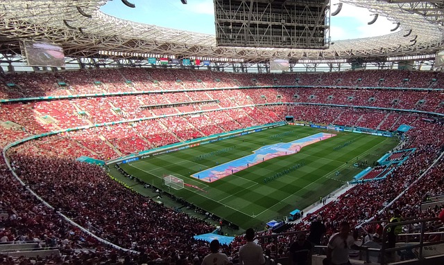 兰在纸面实 兰在纸面实