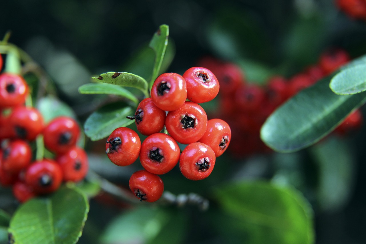 显得尤为重 显得尤为重