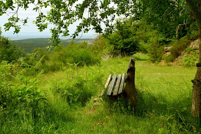 周琦和姜伟 周琦和姜伟