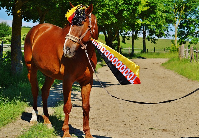 滄州急需在 滄州急需在