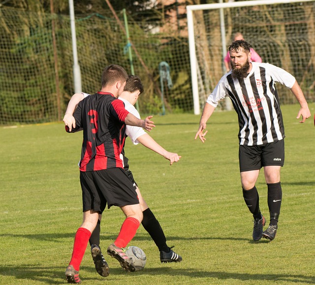 的提升显得 的提升显得