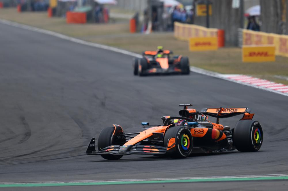 意大利足协 意大利足协